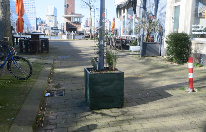 Plantarenpalen in Van der Takstraat