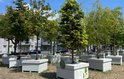 bomen op poten