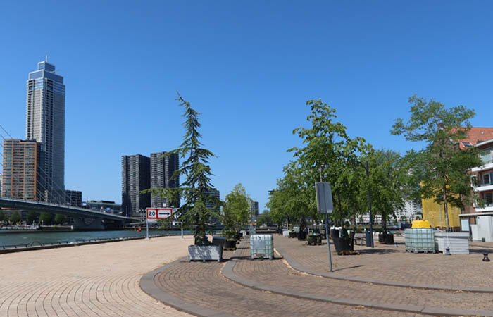 Bos op poten op Prinsenhoofd