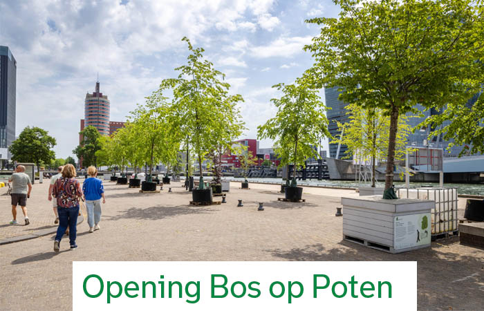 Opening Bos op Poten