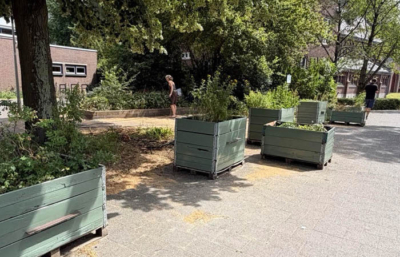 Plantenbakken in de Superstraat