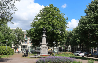 Kastanje boom