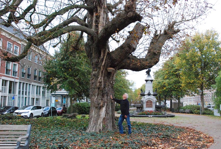 Bomenridder: Pim Janse Bomenridder: Pim Janse